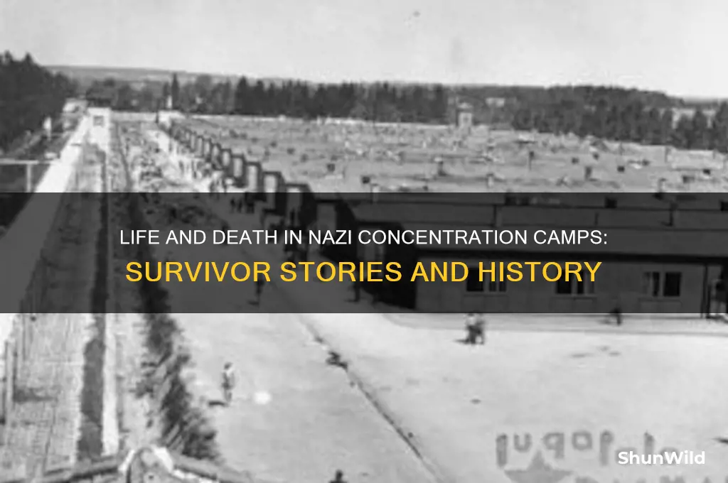 what was it like in nazi concentration camps