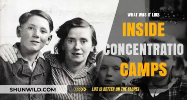 Life and Death in Concentration Camps: Survivor Stories and Experiences