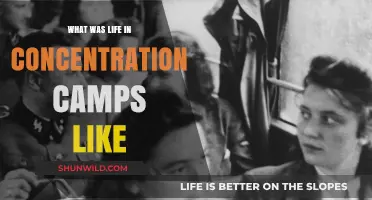 Life in Concentration Camps: Survival, Suffering, and Resilience Amidst Horror