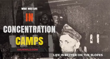 Life in Concentration Camps: Survival, Suffering, and Human Resilience