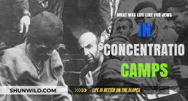 Life in the Shadows: Jewish Experiences in Concentration Camps