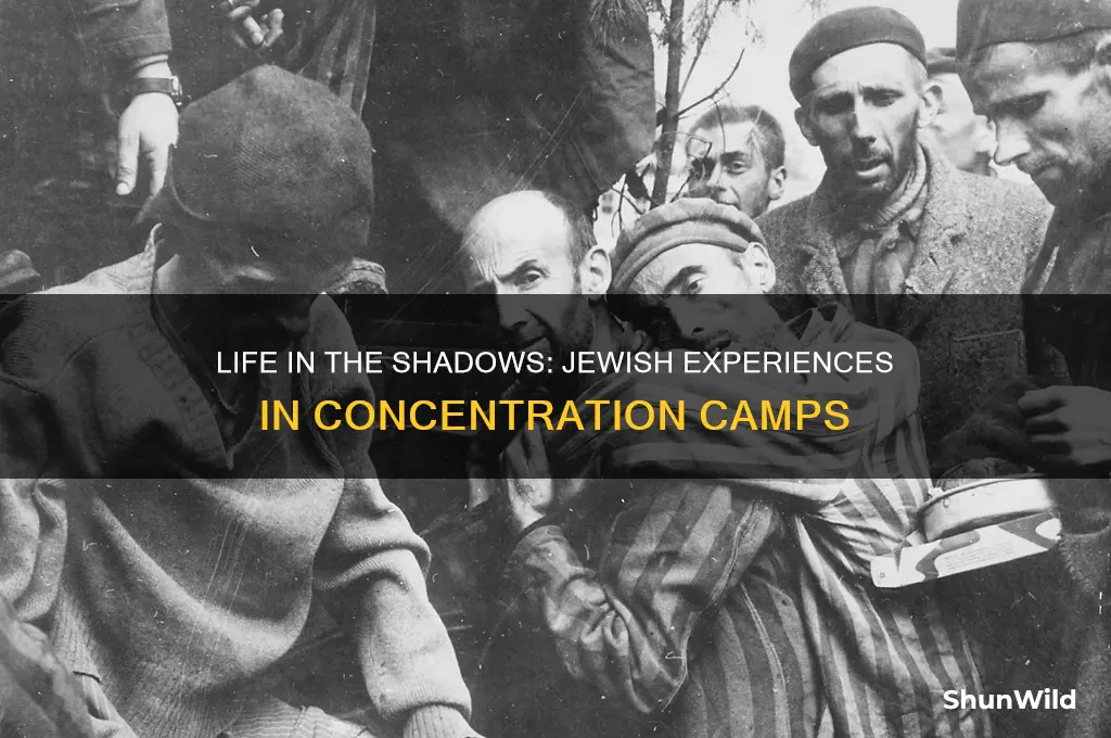 what was life like for jews in concentration camps