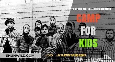 Childhood in Shadows: Life Inside Concentration Camps for Young Survivors