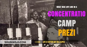 Life in Concentration Camps: A Prezi Exploration of Daily Struggles