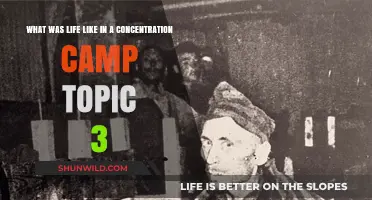 Life in Concentration Camps: Harsh Realities and Daily Struggles