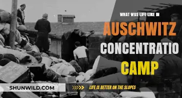 Auschwitz: Daily Life, Survival, and Horror in the Concentration Camp