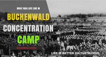 Life in Buchenwald: Survival, Suffering, and Resilience Amidst Horror