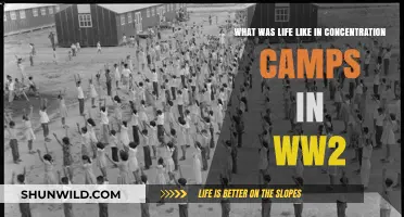 Life in WWII Concentration Camps: Survival, Suffering, and Resilience