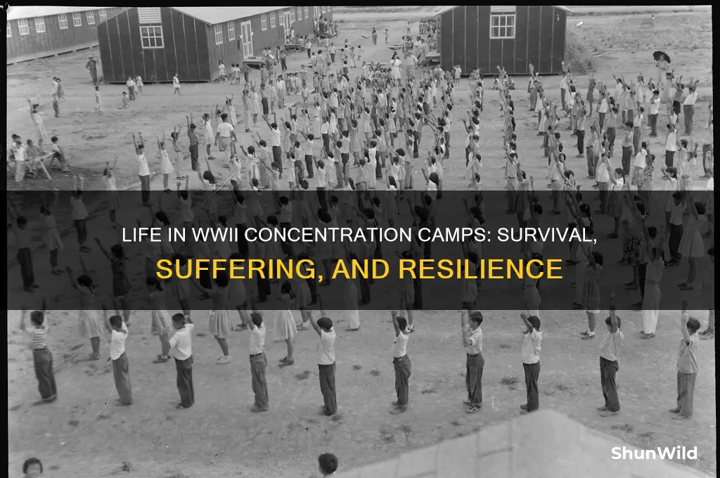 what was life like in concentration camps in ww2