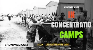 Forced Labor and Exploitation: The Dark Legacy of Concentration Camp Production