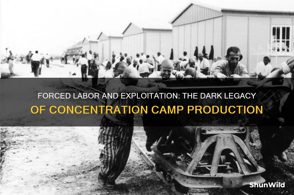 what was made in concentration camps