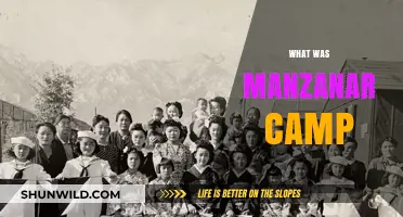 Unveiling the History: Manzanar Camp's Untold Stories