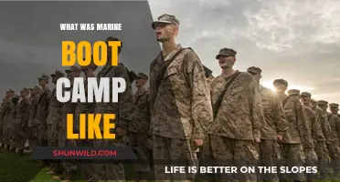 Marine Boot Camp: A Raw, Honest Look at the Transformative Experience