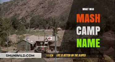 Unveiling the Mystery: The True Story Behind Mash Camp's Name