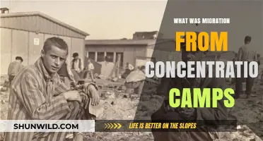Liberation and Displacement: Migration After Concentration Camps Explained