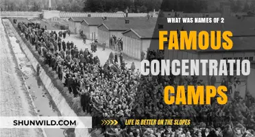 Auschwitz and Dachau: Exploring Two Infamous Concentration Camps