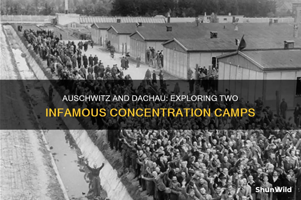 what was names of 2 famous concentration camps