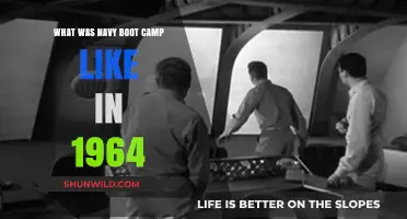 1964 Navy Boot Camp: Rigors, Discipline, and Life-Changing Experiences