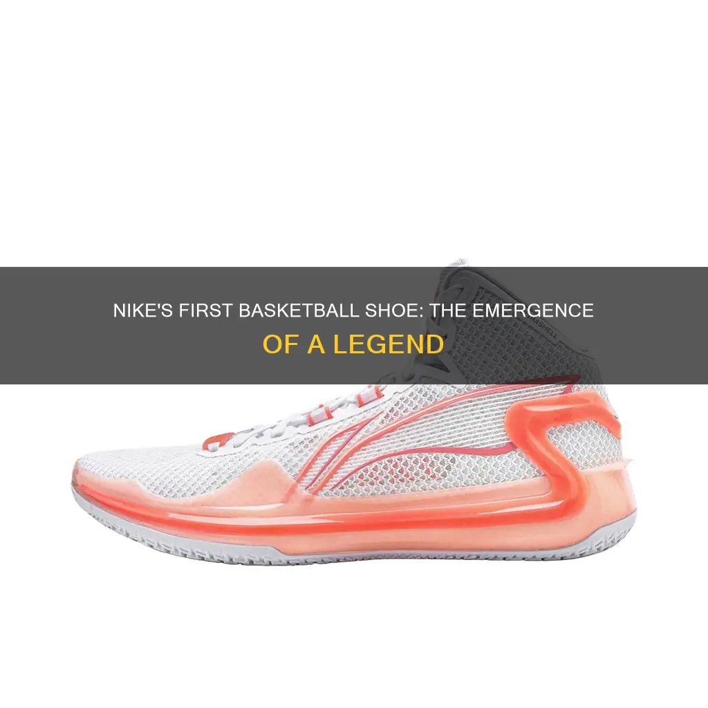 what was nike first basketball shoe