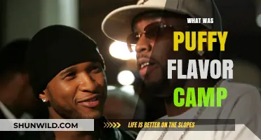 Exploring the Delicious World of Puffy Flavor Camp Treats