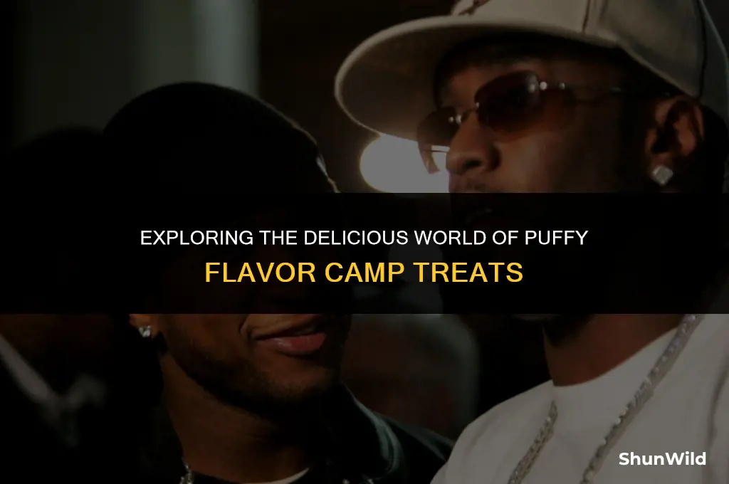 what was puffy flavor camp