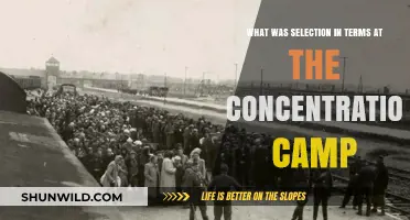 Selection Process in Concentration Camps: A Brutal Mechanism of Control