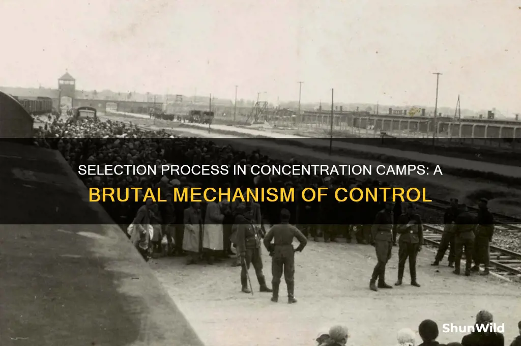 what was selection in terms at the concentration camp