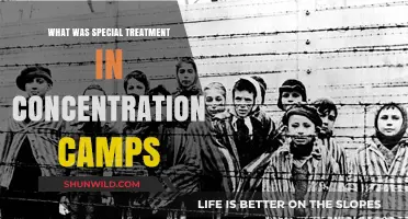 Special Treatment in Concentration Camps: Uncovering the Dark Euphemism