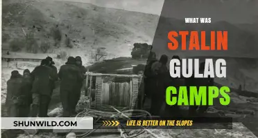 Unveiling the Horrors: A Deep Dive into Stalin's Gulag Camps