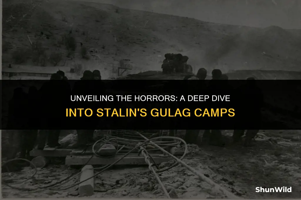 what was stalin gulag camps