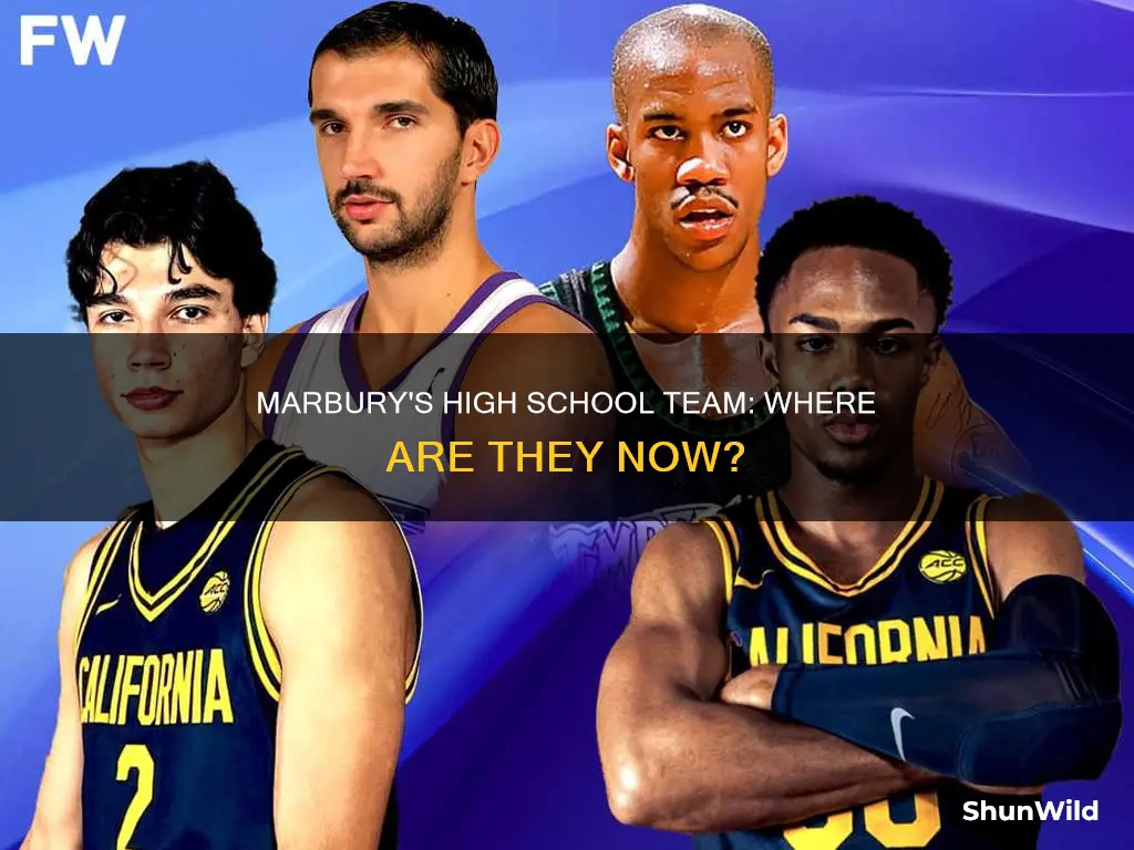 what was stephon marbury high school basketball teammates