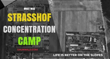 Strasshof Concentration Camp: Uncovering Austria's Dark History and Legacy