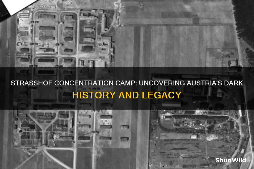 what was strasshof concentration camp