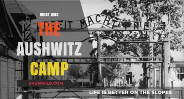 Unveiling the Horrors: A Historical Look at Auschwitz Camp