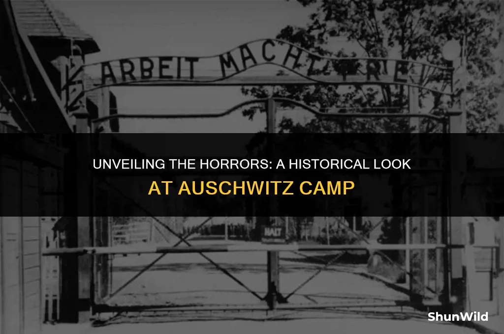 what was the aushwitz camp