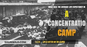 Life Expectancy in Concentration Camps: A Grim Historical Reality