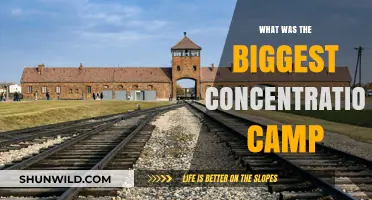 The Largest Nazi Concentration Camp: Auschwitz's Dark Legacy Revealed