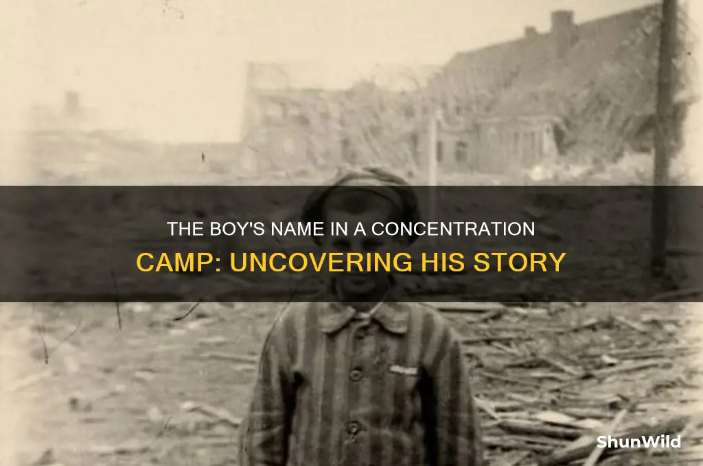 what was the boy