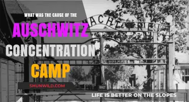 Uncovering the Dark Origins of Auschwitz Concentration Camp