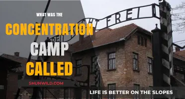 Unveiling the Infamous Concentration Camp Names: A Historical Overview