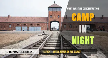 Night's Haunting Depiction of Auschwitz Concentration Camp Horrors
