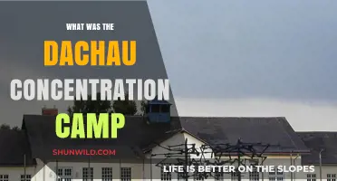 Dachau Concentration Camp: History, Horrors, and Legacy of Nazi Atrocities