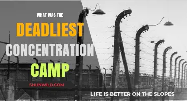 Auschwitz: The Deadliest Concentration Camp in History