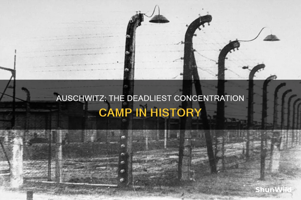 what was the deadliest concentration camp