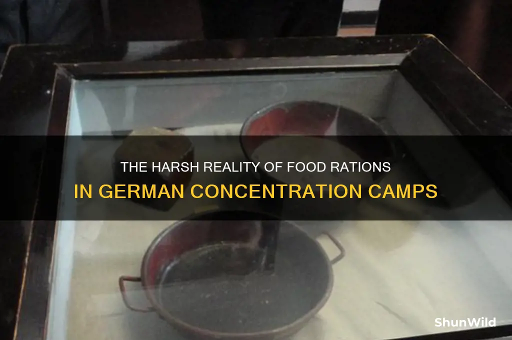 what was the diet at german concentration camp