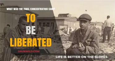 Last Camp Liberated: The Final Days of Nazi Concentration Camps