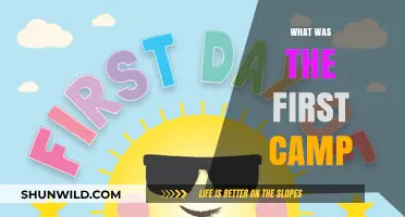 Exploring the Origins: The First Summer Camp Experience