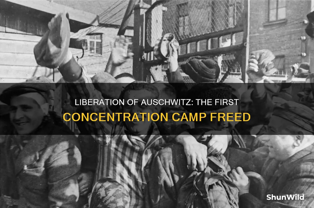 what was the first concentration camp to be liberated
