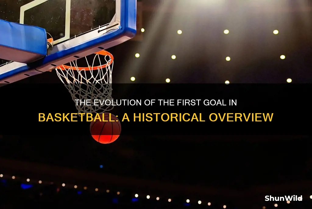 what was the first goal used in basketball