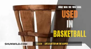 The Evolution of Basketball Goals: From Peach Baskets to Modern Nets